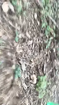 lustboyX online show from April 5, 9:39 am