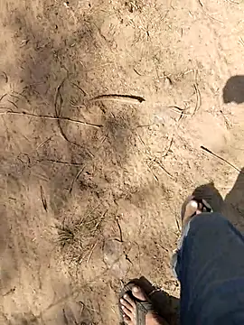 MAN MOHINI 21 online show from February 16, 8:01 am