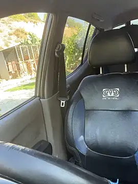 petan33 online show from November 18, 11:14 am