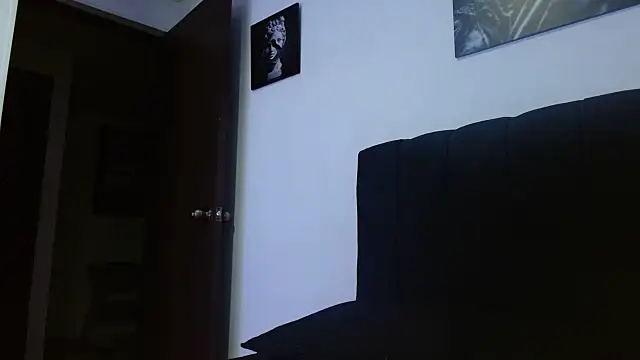 Snapshot of Hendry_ chatting on February 14, 11:43 pm Hendry online show from February 14, 11:43 pm