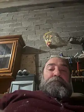 ros217 online show from November 4, 4:30 pm