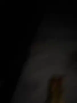 bcc0001 online show from March 8, 6:35 pm