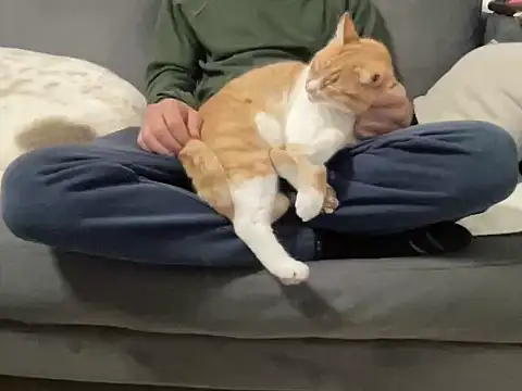 4small4inchlol online show from December 15, 11:24 pm