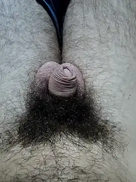 hungarian dick online show from October 19, 10:51 am