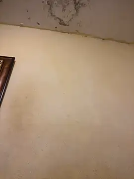 tobiramalapara online show from November 24, 11:22 am