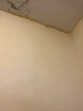 tobiramalapara online show from December 18, 7:43 pm