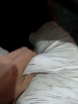 lm279 online show from March 31, 1:46 pm