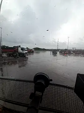 bull Giant online show from November 28, 4:09 pm