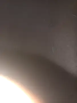 Eldelas guachas online show from December 5, 12:34 pm