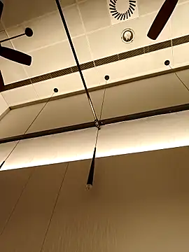 DDYY12341 online show from November 4, 2:29 pm