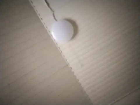 fogoda online show from September 30, 4:10 pm