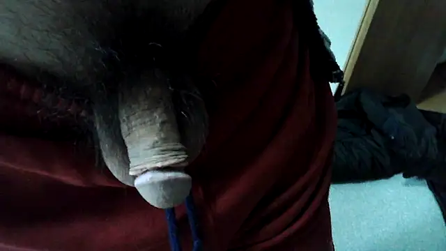 ikkakusai11 online show from January 2, 3:48 am