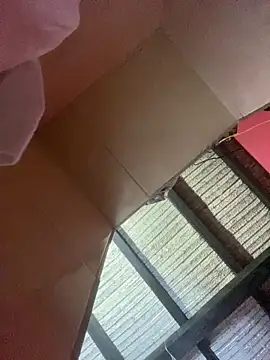 Dalton oficial online show from February 13, 1:45 am