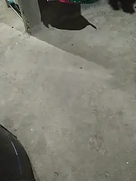 Jhjhipo online show from December 15, 9:12 pm