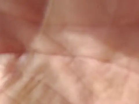 lit702 online show from November 22, 6:51 pm