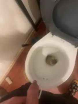 jobart-off online show from January 18, 11:01 am