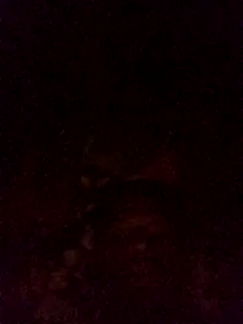 Hilkanna  online show from April 9, 8:48 pm