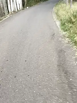 C vas  online show from December 10, 11:54 am