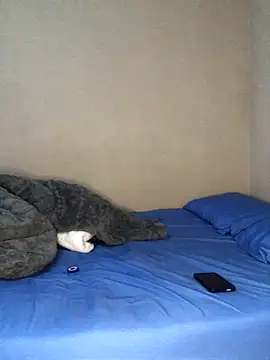 kinglorad online show from October 27, 4:09 pm