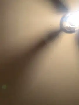 thiccplamp online show from November 29, 3:41 am