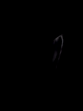 Inkognito0495 online show from October 29, 5:32 am