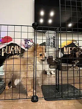 kensnb online show from March 9, 9:09 pm