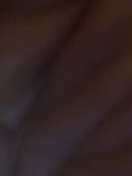 Snapshot of Inseminator69 chatting on December 14, 11:07 am Inseminator69 online show from December 14, 11:07 am