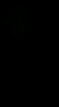 pelarrico12 online show from January 1, 5:01 am