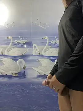 cute panda03 online show from January 17, 12:10 pm