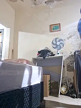 maridao 020 online show from February 15, 4:51 am