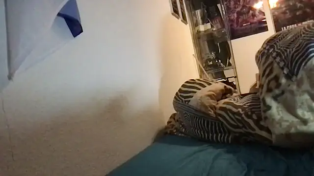 Snapshot of tipico0799 chatting on January 26, 6:07 am tipico0799 online show from January 26, 6:07 am