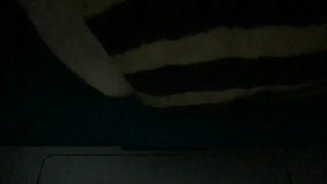 Snapshot of tipico0799 chatting on January 24, 12:10 am tipico0799 online show from January 24, 12:10 am