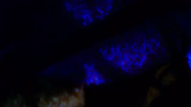 penesillo79 online show from December 18, 4:30 am