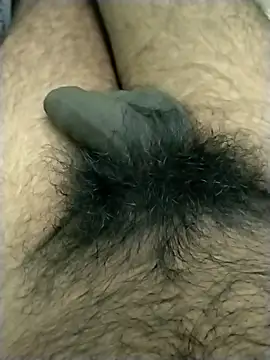 jellydicks online show from November 1, 4:11 pm