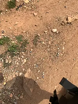 Black mamba madingo online show from February 27, 9:54 am