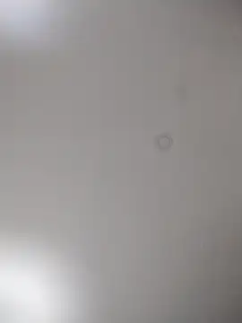 geilerschwanz64 online show from October 15, 10:06 pm