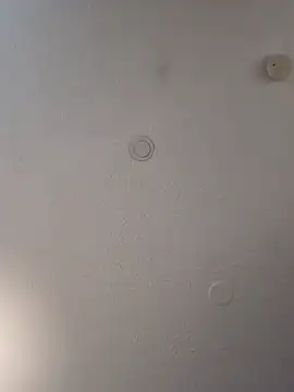 geilerschwanz64 online show from February 19, 7:05 pm