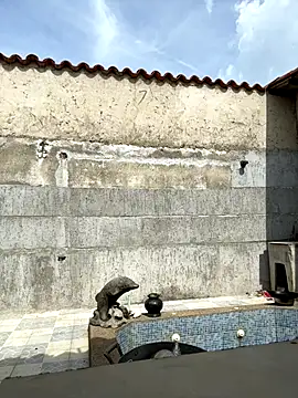 Leo bunny hot online show from September 13, 7:04 pm