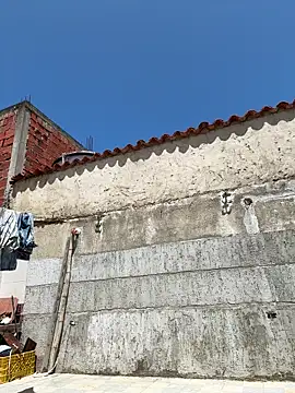 Leo bunny hot online show from September 27, 5:33 pm