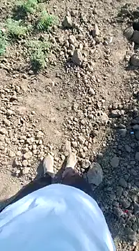 dickerdaddy25 online show from February 18, 4:26 am