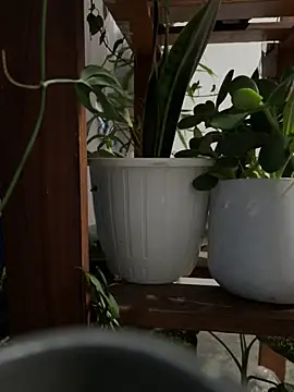 alburt 1996 online show from December 30, 3:13 pm