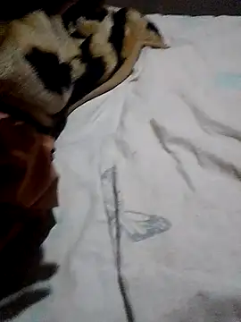 KGman91 online show from November 28, 9:49 pm