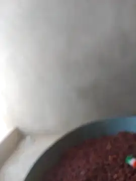 asu1245gy online show from March 20, 10:30 am