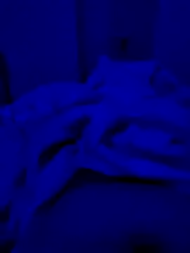 hardyloves online show from March 16, 6:23 pm