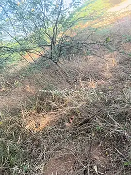 tamil000000 online show from March 9, 11:03 am