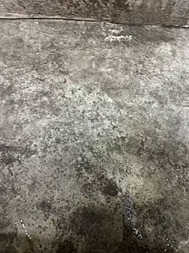 tamil000000 online show from October 13, 4:35 pm