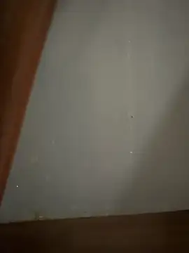 B-becitohot online show from October 11, 1:20 am