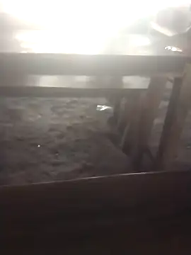 Snapshot of cutetaraaarhjn chatting on September 26, 3:15 am cutetaraaarhjn online show from September 26, 3:15 am