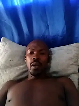 stability241 online show from December 5, 11:16 am