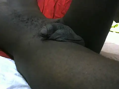 kingmaestro  online show from October 9, 1:49 pm